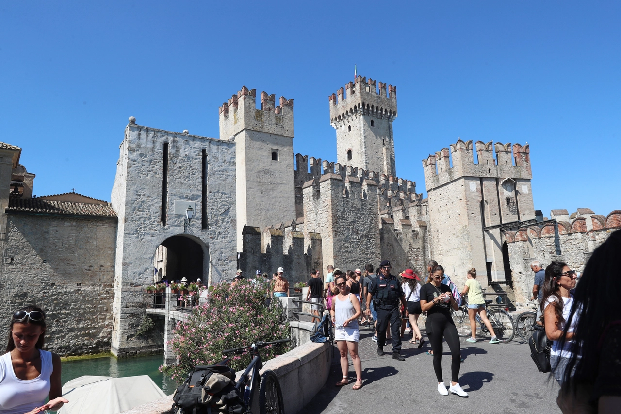 FE_799751-90989706