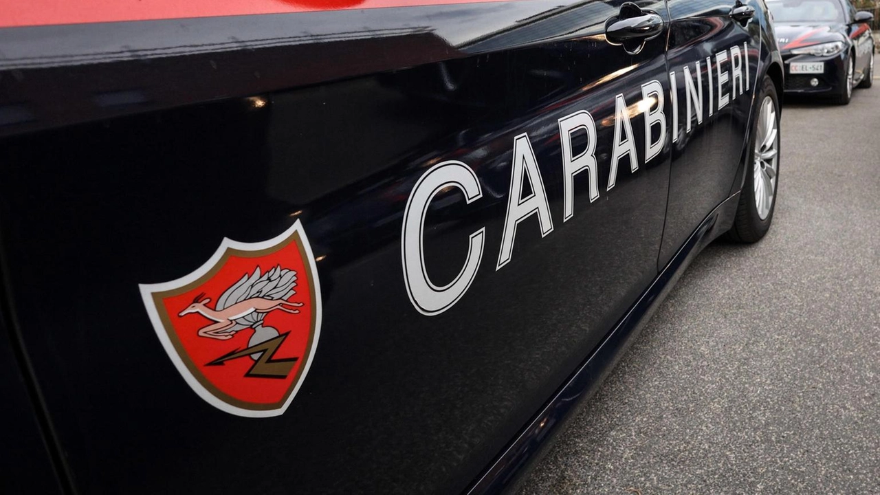 La 60enne stava portando a spasso il cane, '10 minuti da incubo'