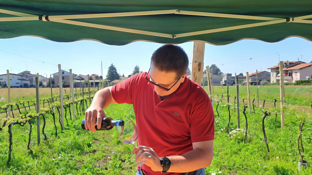 Giuseppe Longhi riporta in vita il vino Martexano del XIII secolo a Copreno, unendo storia e viticoltura. Giuseppe Longhi riporta in vita il vino Martexano del XIII secolo a Copreno, unendo storia e viticoltura.