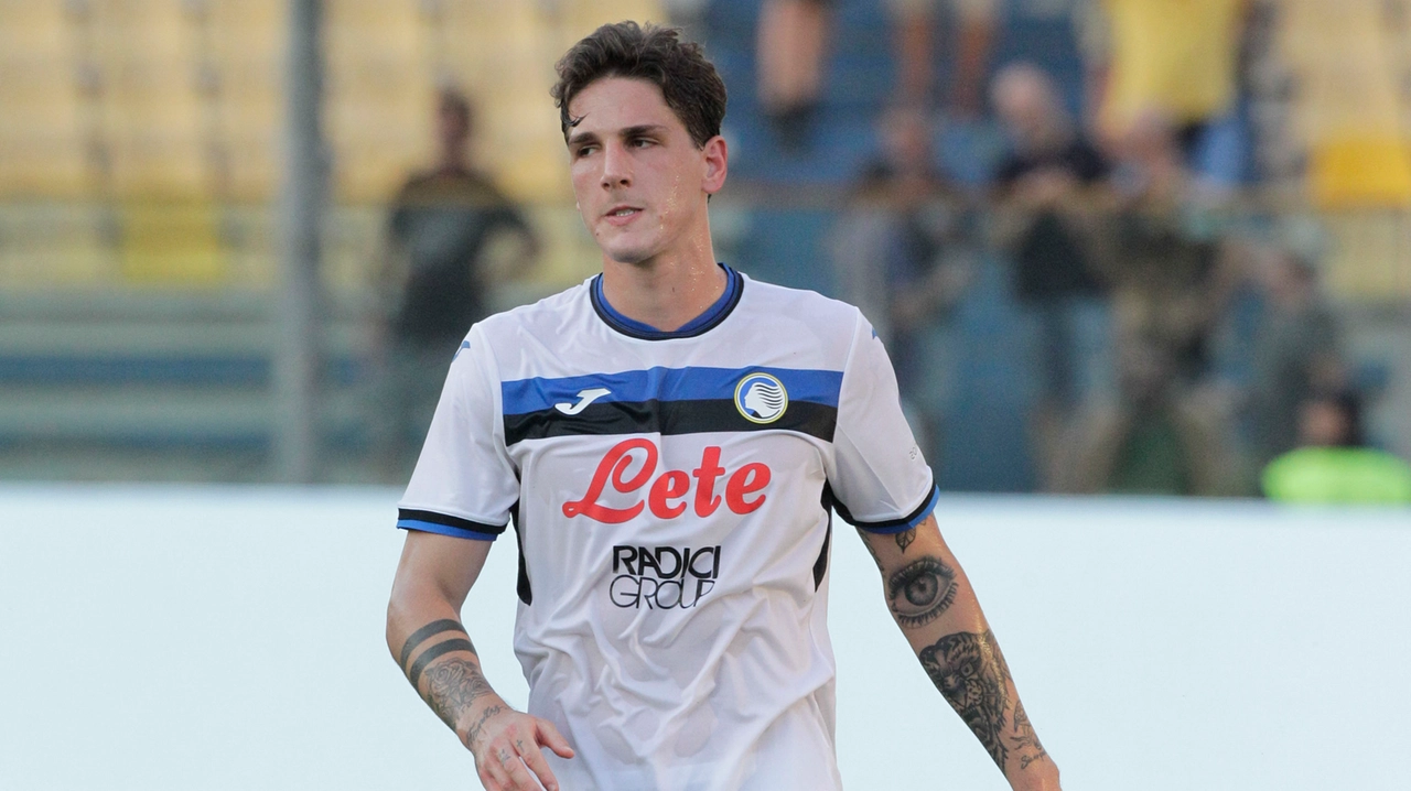 Nicolò Zaniolo Nicolò Zaniolo