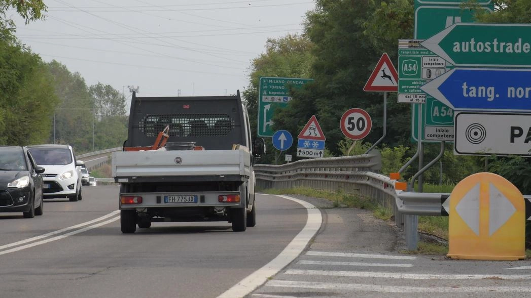 Pavia, diversi guidatori se lo sono trovato di fronte e sono riusciti a rallentare