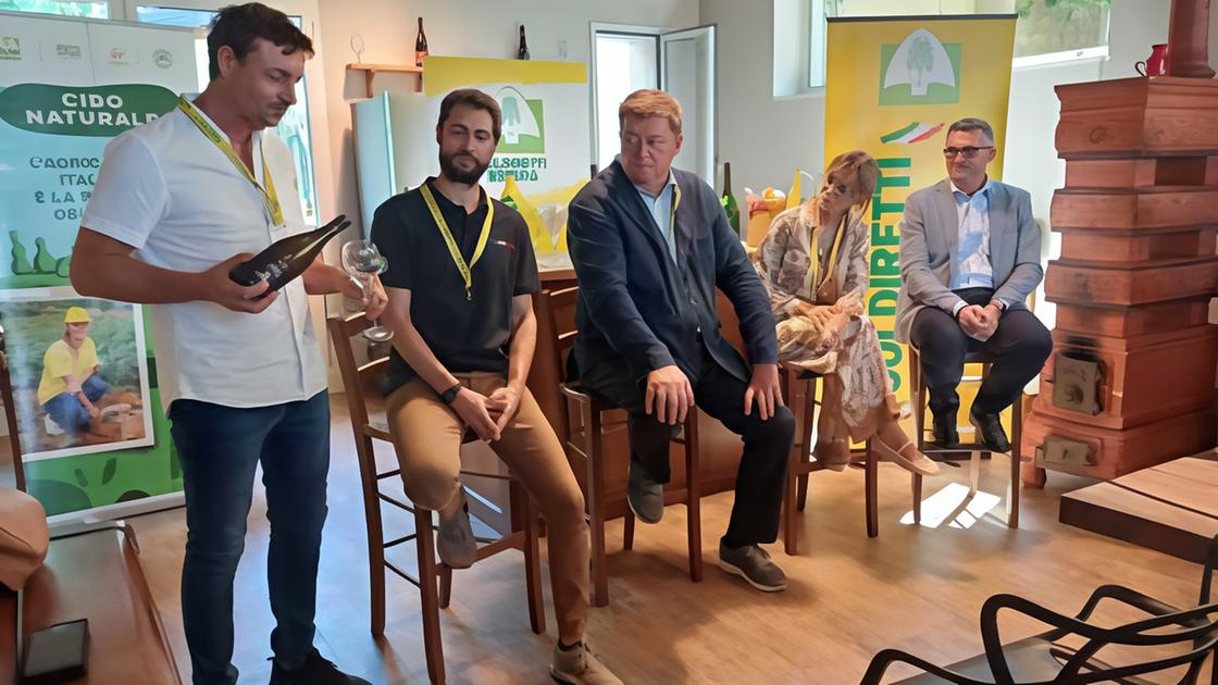 Verso la vendemmia. Viticoltori fiduciosi: "È un’annata ottimale"