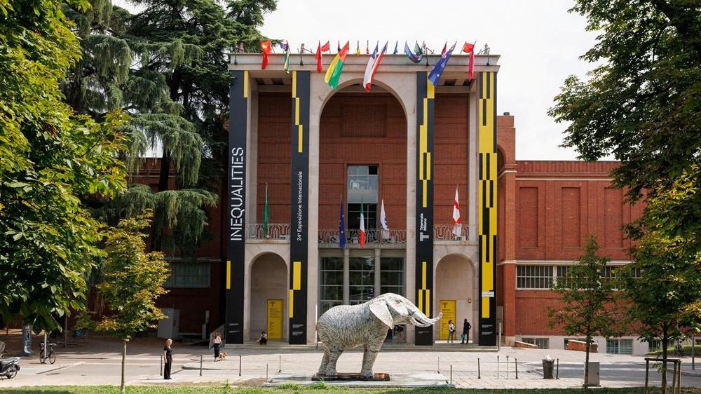 triennale ecco l8217elefante della namibia di jacopo allegrucci