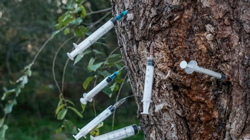 Quei figli inghiottiti dal buco nero della droga, lettere e telefonate dalle madri: comunità piene e a volte il lieto fine