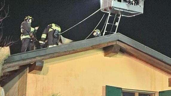 rogo famiglia si salva brucia il tetto della villa un passante lancia l sos da Ilgiorno.it rogo famiglia si salva brucia il tetto della villa un passante lancia l sos
