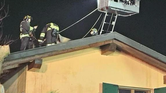 L’intervento dei vigili del fuoco domenica sera sul tetto della villetta nella frazione Triulza L’intervento dei vigili del fuoco domenica sera sul tetto della villetta nella frazione Triulza
