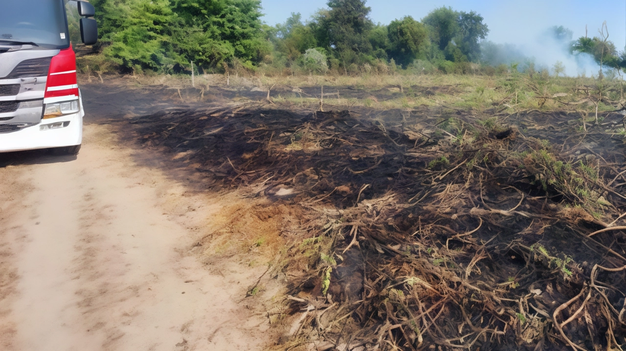 Cio che resta dell’area piantumata con 1.300 essenze In fumo due anni di lavoro Se il dolo sarà confermato parco pronto a chiedere i danni Cio che resta dell’area piantumata con 1.300 essenze In fumo due anni di lavoro Se il dolo sarà confermato parco pronto a chiedere i danni