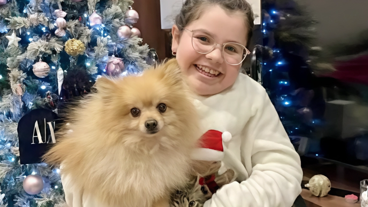 A Acerra ladri rubano cane a ragazzina disabile, ma dopo appelli su social lo restituiscono. Emozionante lieto fine grazie alla solidarietà. A Acerra ladri rubano cane a ragazzina disabile, ma dopo appelli su social lo restituiscono. Emozionante lieto fine grazie alla solidarietà.