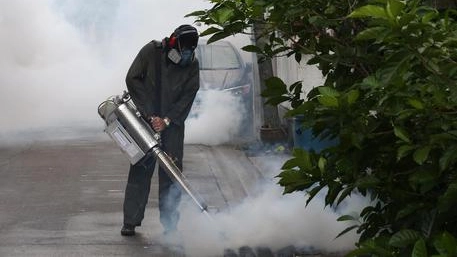Disinfestazioni contro le larve delle zanzare che trasmettono la Dengue