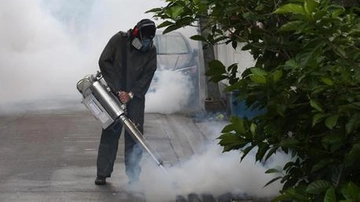 Febbre Dengue: allerta e disinfestazione dalle zanzare a Manerba del Garda
