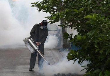 Febbre Dengue: allerta e disinfestazione dalle zanzare a Manerba del Garda