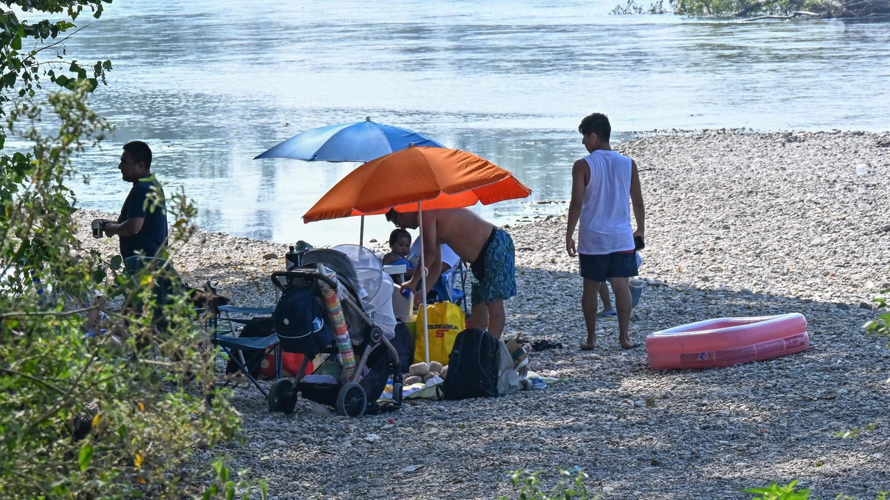 Abbiategrasso, rientra nelle zone soggette a limitazioni per la peste suina ma veniva comunque utilizzata, così sono stati attivati i servizi comunali . Abbiategrasso, rientra nelle zone soggette a limitazioni per la peste suina ma veniva comunque utilizzata, così sono stati attivati i servizi comunali .
