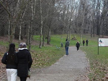 immagine articolo