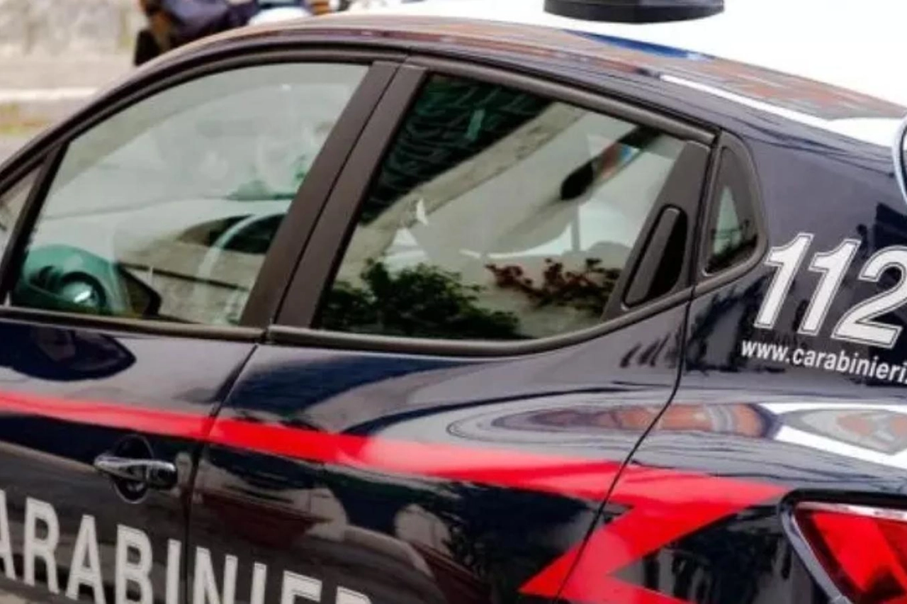 I carabinieri sono stati chiamati dai vicini di casa, allarmati dalle urla della donna