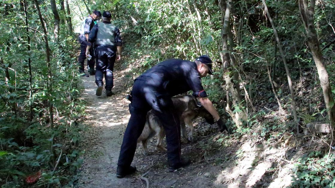 sfregia la cliente e riduce in fin di vita l amico che vuole salvarla pusher arrestato con 5 colleghi