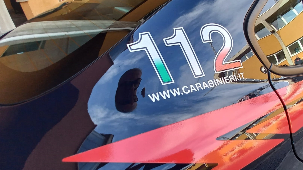 I carabinieri hanno dovuto usare il taser I carabinieri hanno dovuto usare il taser