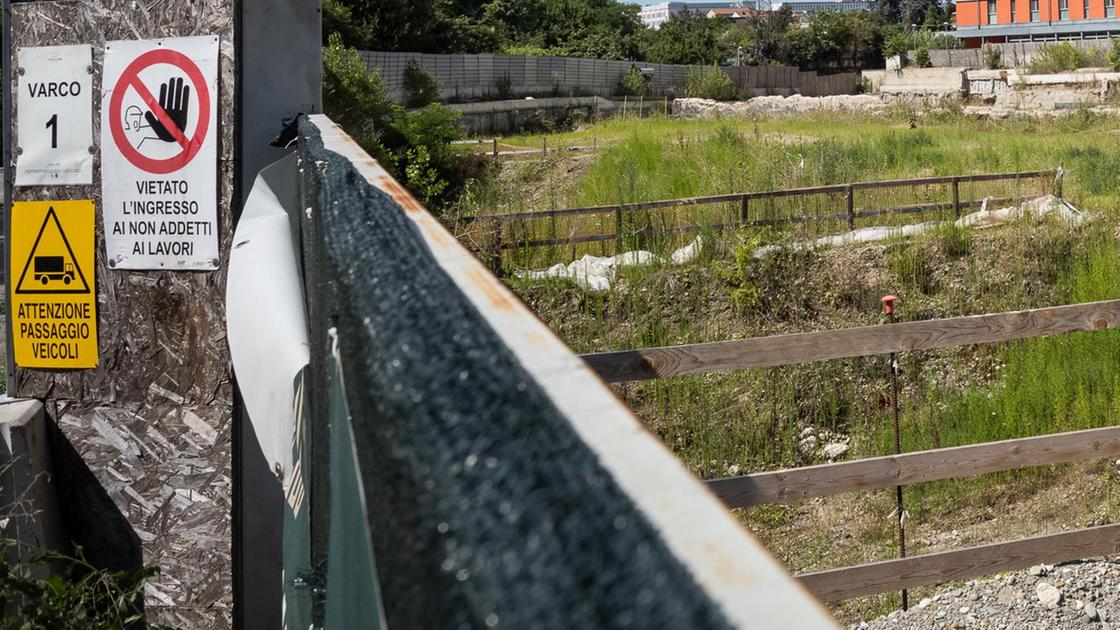 La Torre dello scandalo. Dall’ex hotel alla voragine: "I nostri primi sospetti dopo gli alberi abbattuti" La Torre dello scandalo. Dall’ex hotel alla voragine: "I nostri primi sospetti dopo gli alberi abbattuti"