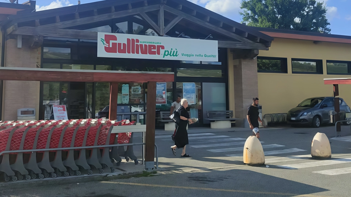 MONTÙ BECCARIA (Pavia) Attraverso l’impianto di condizionamento si sono introdotti nel supermercato Gulliver alla frazione Loglio sulla sp 201 e hanno...