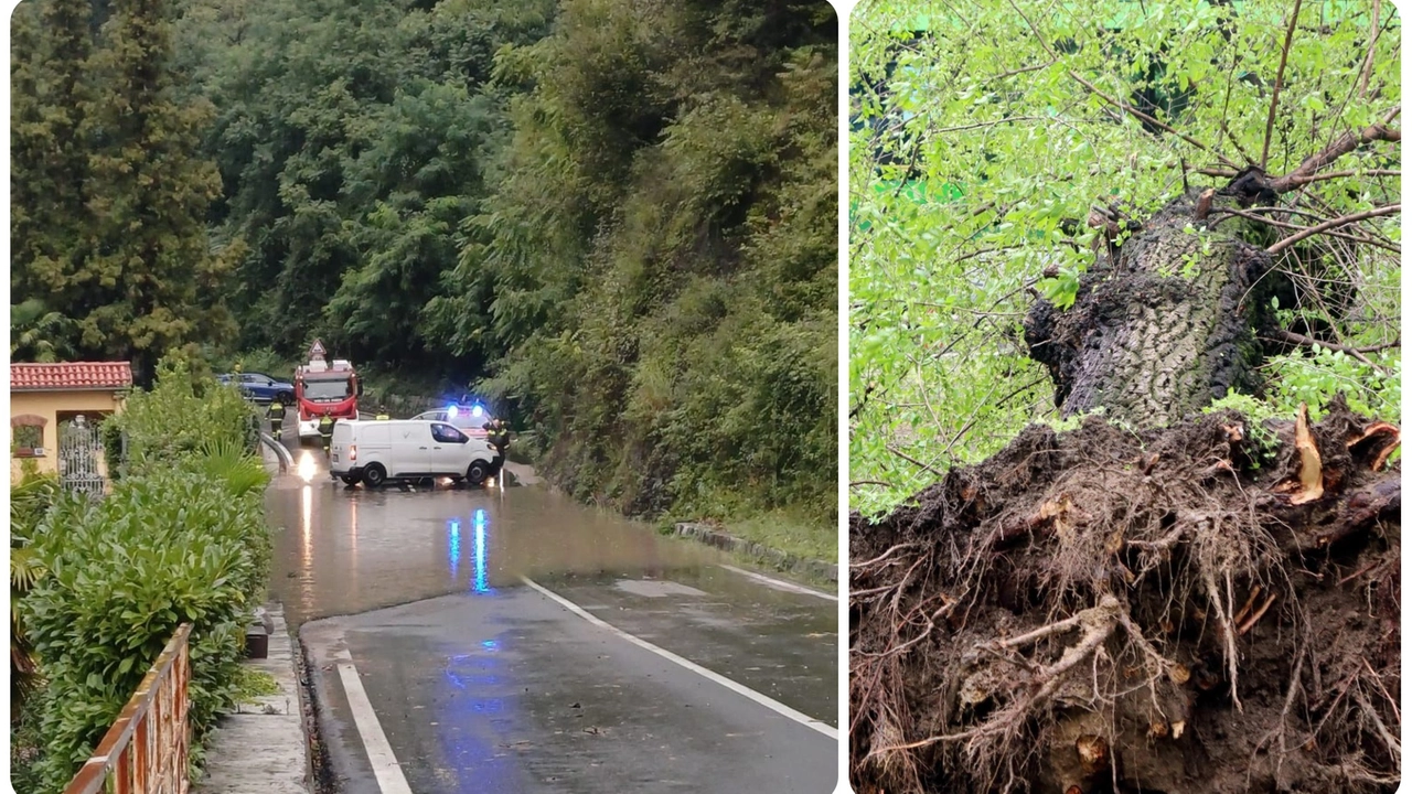 Maltempo, strada allagate nel Luinese (Foto Facebook Marco Fazio) e un albero sradicato dal vento Maltempo, strada allagate nel Luinese (Foto Facebook Marco Fazio) e un albero sradicato dal vento