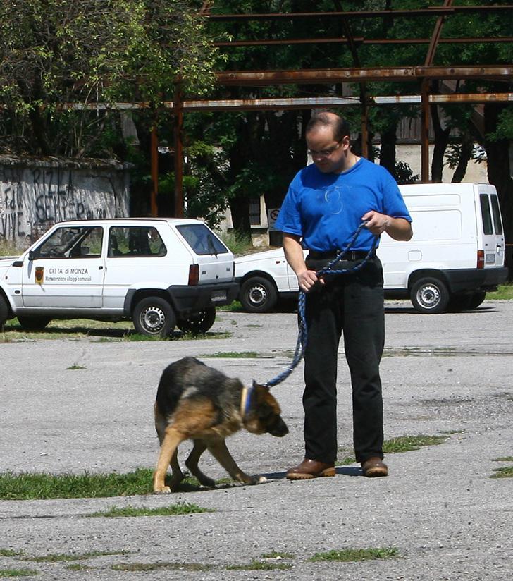In giro con Fido. Ecco i nuovi kit per la raccolta In giro con Fido. Ecco i nuovi kit per la raccolta