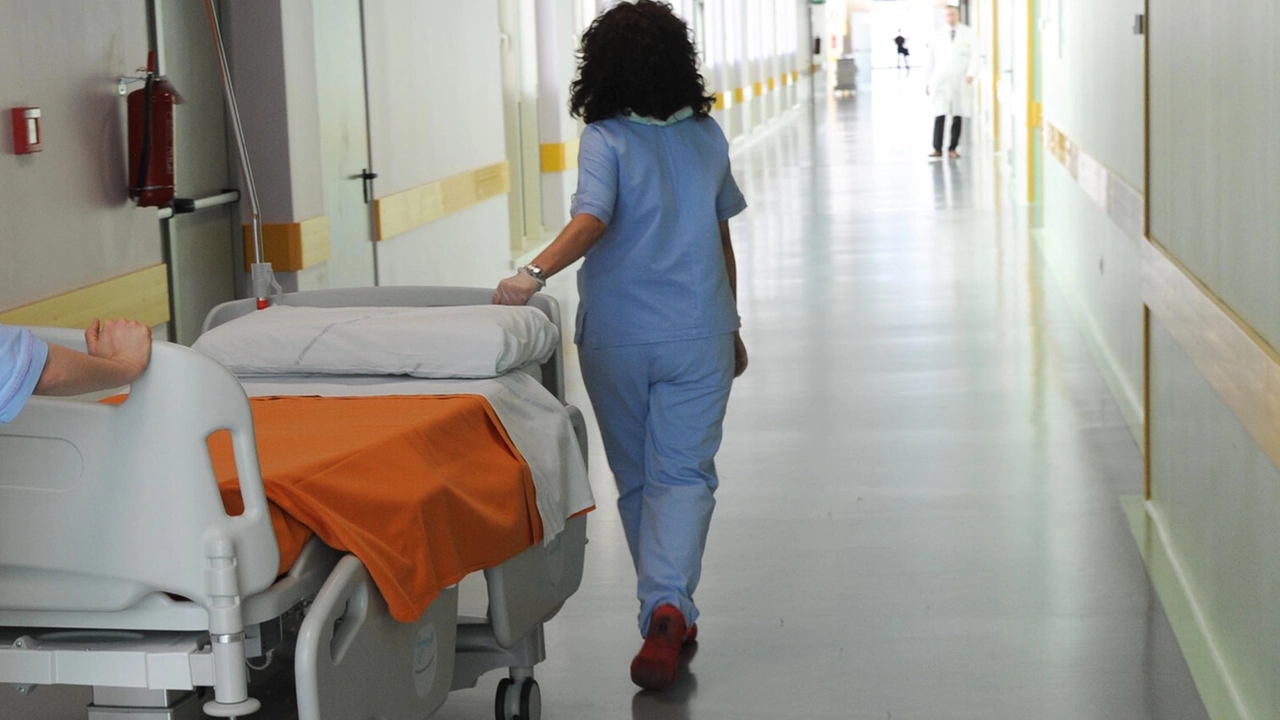 A lavoro (foto di repertorio) A lavoro (foto di repertorio)