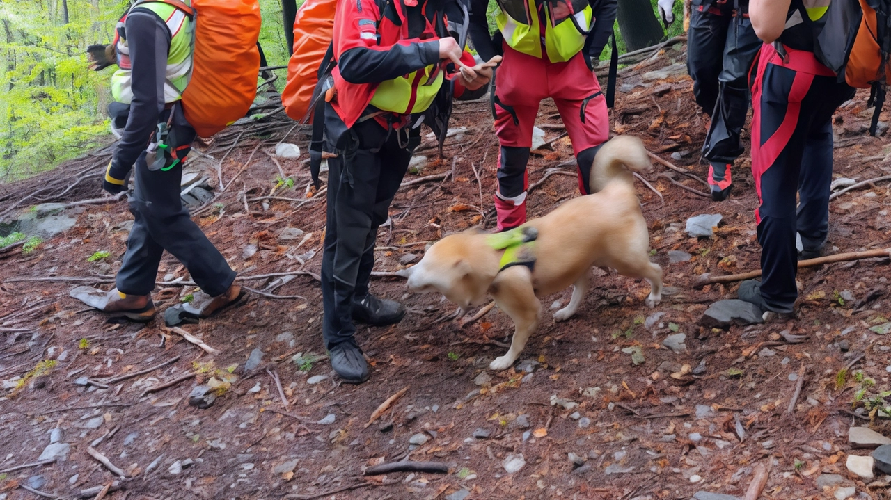Il ferito è stato poi affidato ai volontari del Soccorso alpino Il ferito è stato poi affidato ai volontari del Soccorso alpino