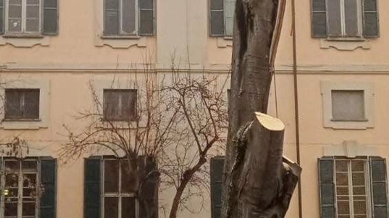 Pavia, fa discutere l’intervento a palazzo Olevano approvato dalla precedente giunta. "Un sacrificio inutile"