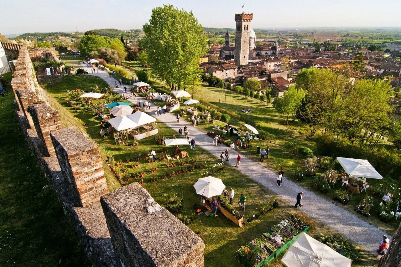 Fiori nella Rocca, Lonato del Garda