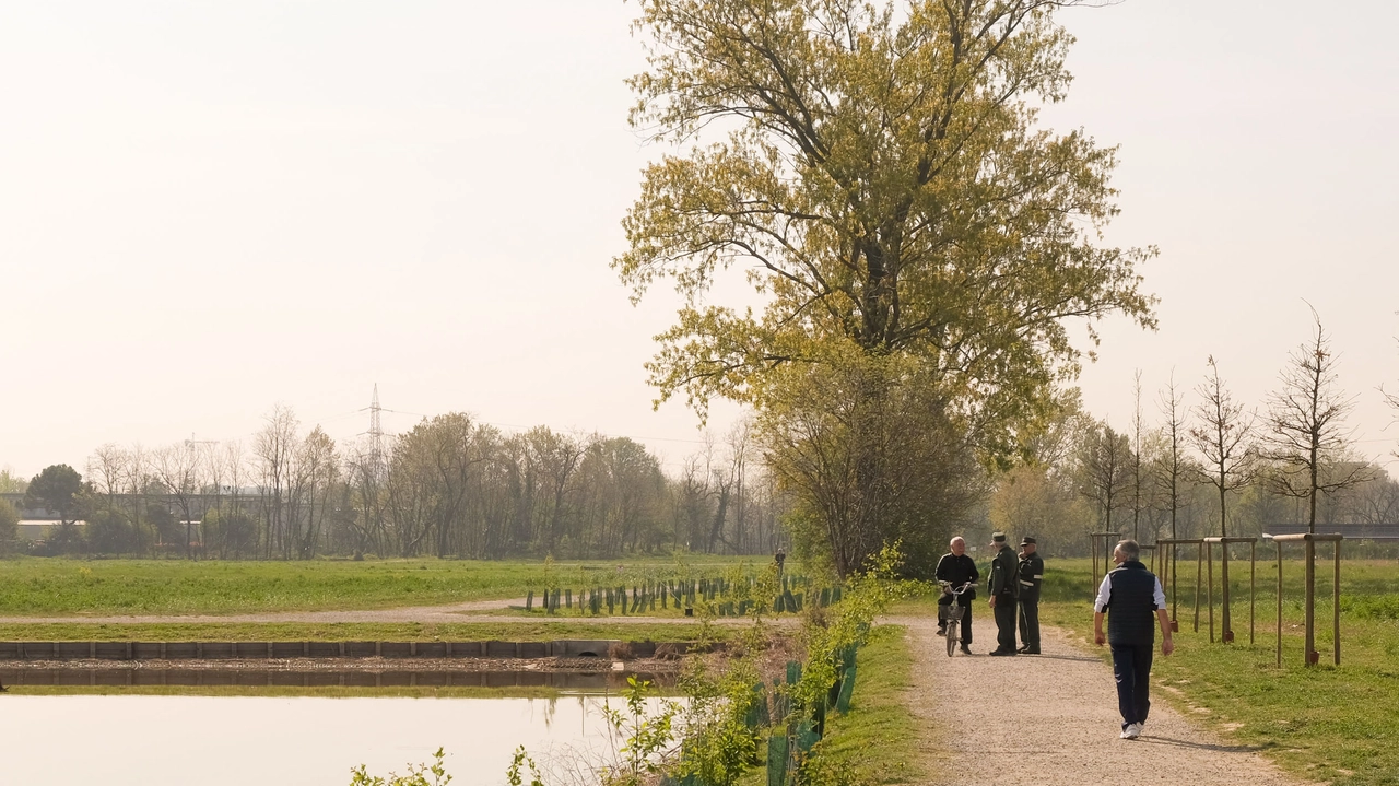 Nei mesi scorsi Arpa aveva trovato ancora inquinanti in alcune aree del parco Nei mesi scorsi Arpa aveva trovato ancora inquinanti in alcune aree del parco