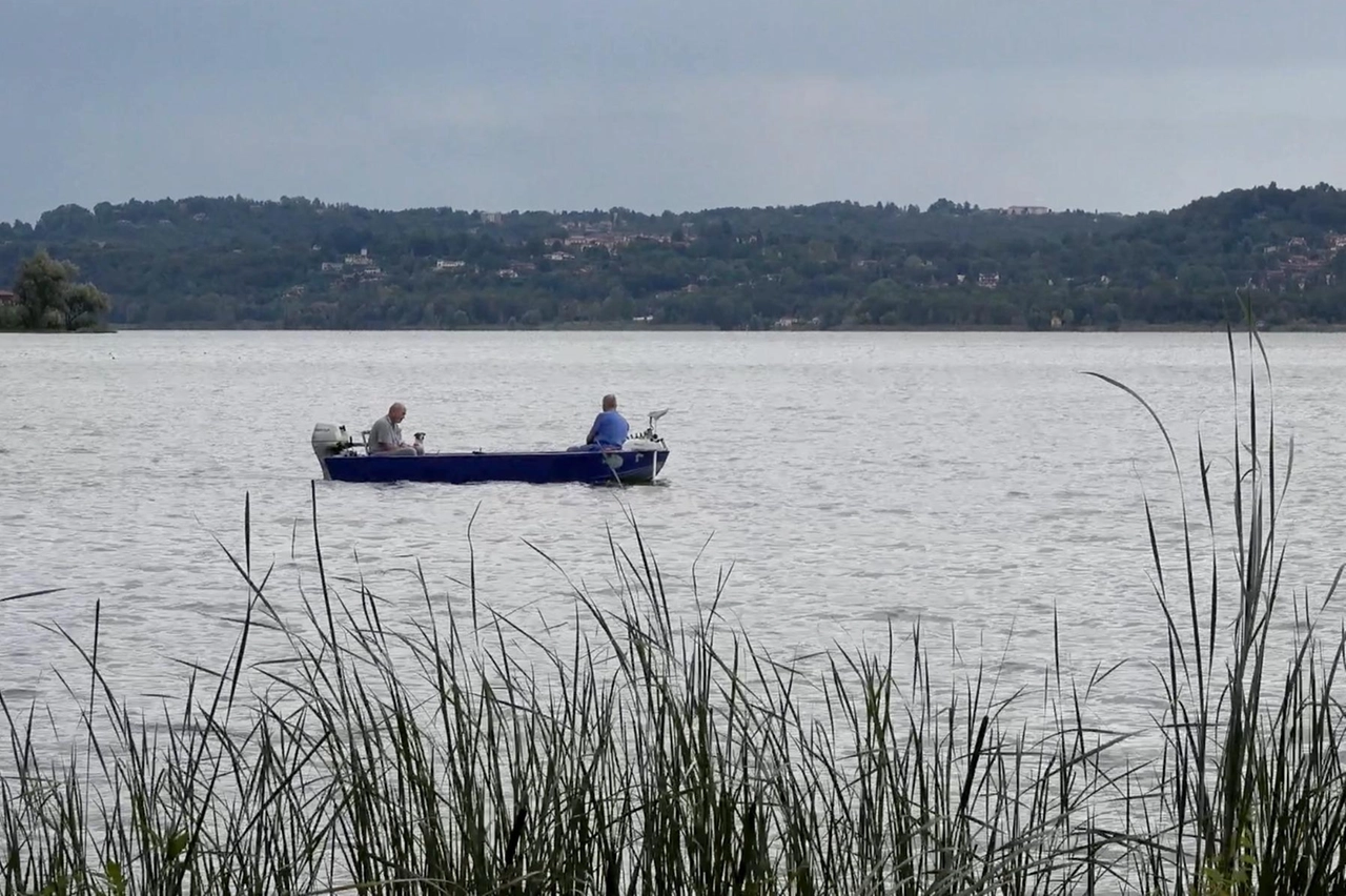 Fra i consigli di Ats quelli di non ingerire l'acqua del lago e di lavarsi accuratamente dopo essere entrati in contatto con l'acqua del lago