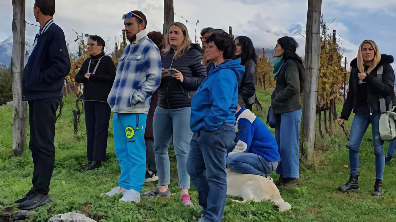 Il mondo del vino e le novità affascinano ragazzi e ragazze Il mondo del vino e le novità affascinano ragazzi e ragazze