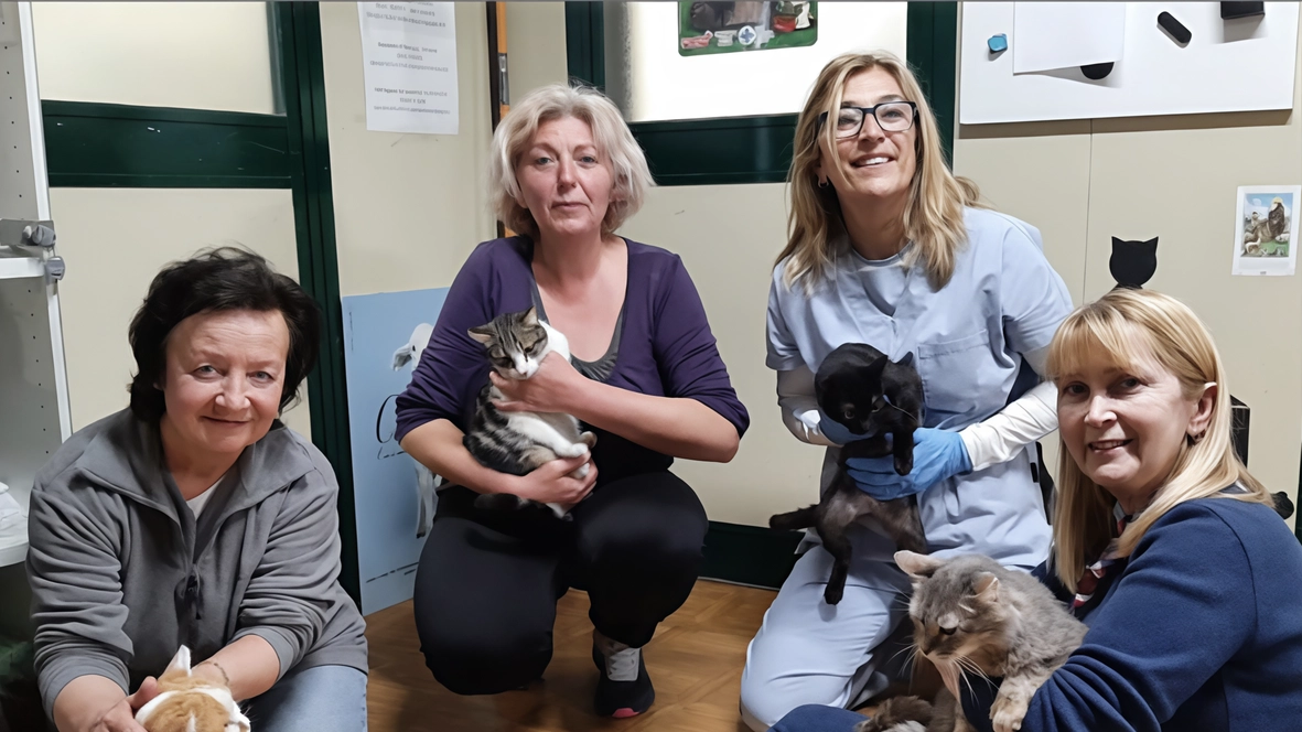 I gattini salvati a Brescia, tre aspettano ancora un’adozione all’Enpa di Monza Servirà un po’ di pazienza per riconquistare la fiducia negli esseri umani