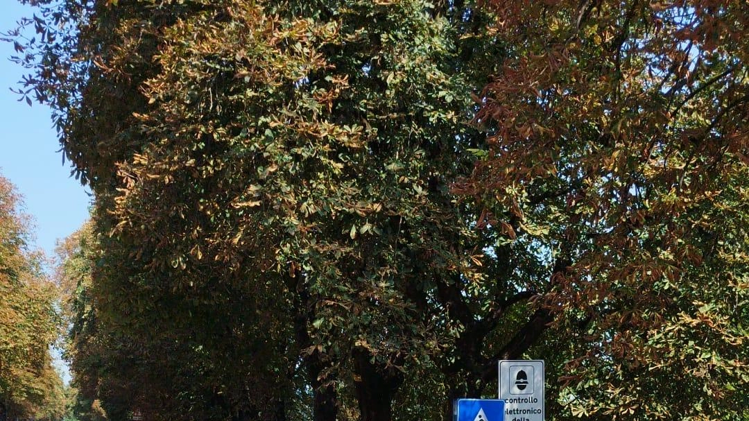 Le transenne nel punto della perdita Le transenne nel punto della perdita