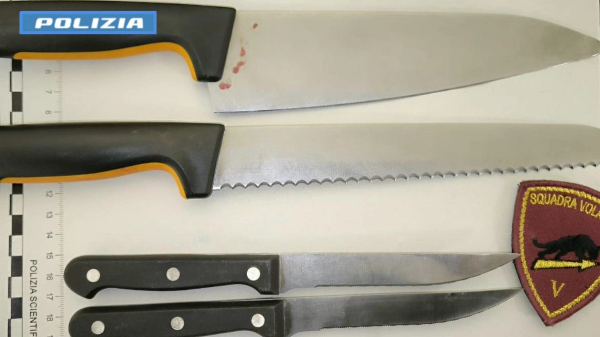 I coltelli sequestrati dalla Polizia I coltelli sequestrati dalla Polizia