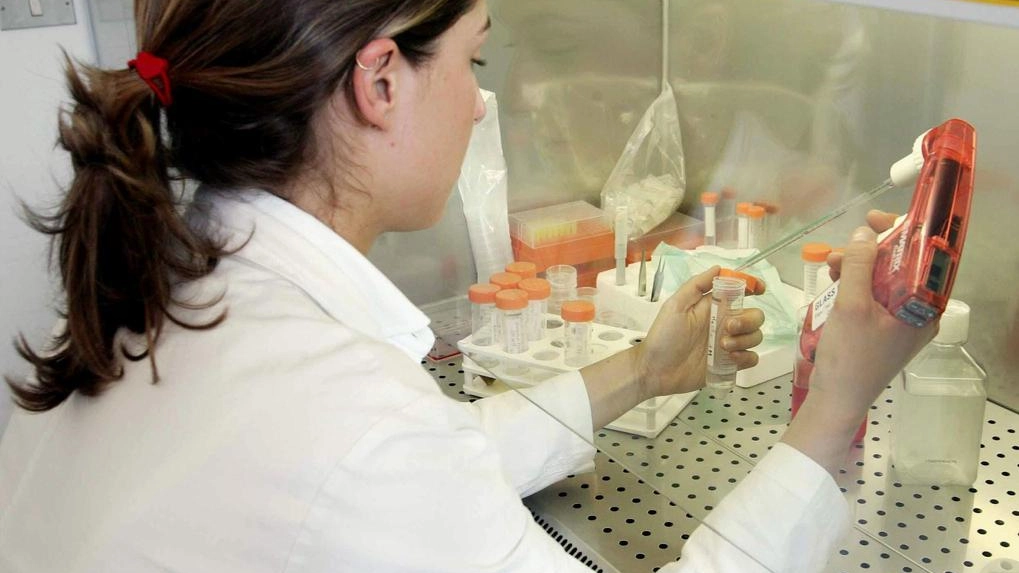 L’esame che ha dato conferma al sospetto di West Nile Virus è stato eseguito dall’Istituto Zooprofilattico Sperimentale della Lombardia e dell’Emilia Romagna Poi l’Ats ha avvertito i vari enti L’esame che ha dato conferma al sospetto di West Nile Virus è stato eseguito dall’Istituto Zooprofilattico Sperimentale della Lombardia e dell’Emilia Romagna Poi l’Ats ha avvertito i vari enti