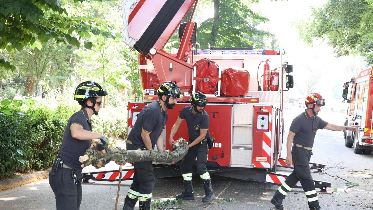 L’incidente a Firenze. Travolta da un grosso ramo. Grave 24enne monzese