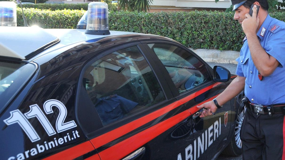 Caarabinieri in azione per un episodio di minacce e maltrattamenti (Foto archivio) Caarabinieri in azione per un episodio di minacce e maltrattamenti (Foto archivio)