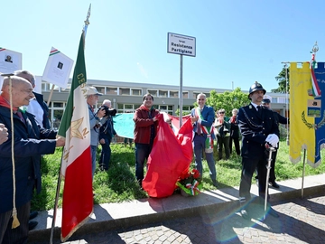 immagine articolo