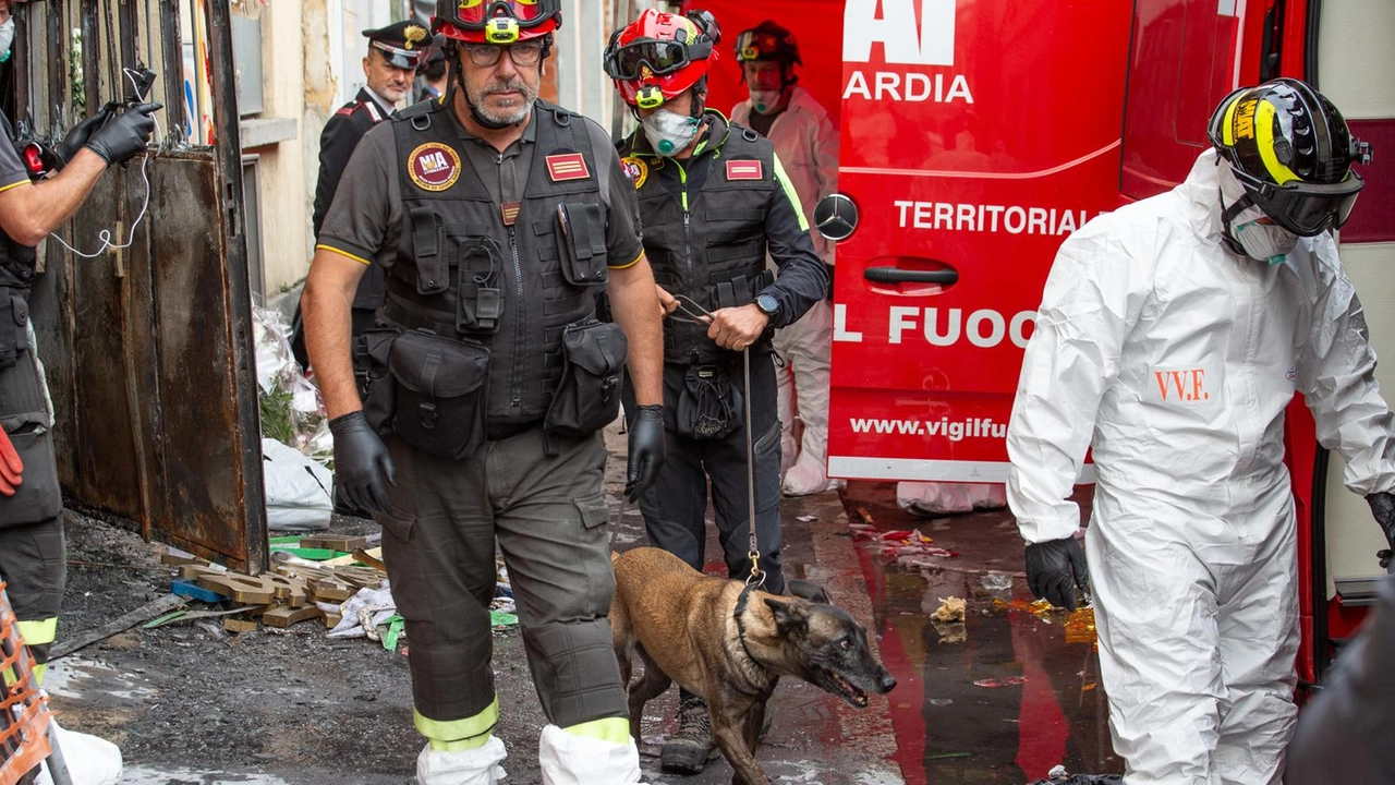 I vigili del fuoco col cane Aika all'emporio di via Cantoni, in zona Villapizzone I vigili del fuoco col cane Aika all'emporio di via Cantoni, in zona Villapizzone
