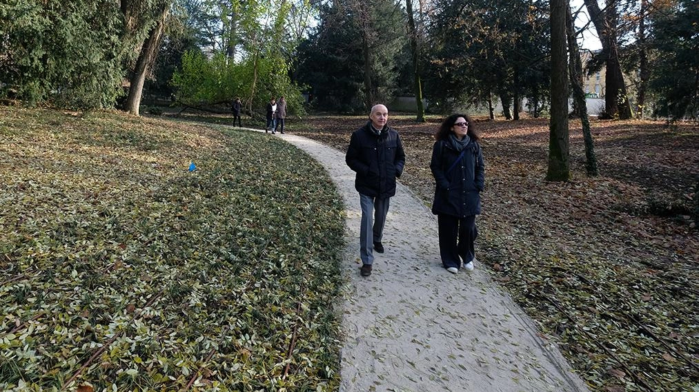 Vimercate, la rinascita dello spazio segreto rimasto chiuso per due decenni. Dopo un lungo restyling, fissata la data per l’apertura al pubblico: il 22 marzo. Il parco ha conservato gli elementi storici e sono state introdotte nuove funzioni. Vimercate, la rinascita dello spazio segreto rimasto chiuso per due decenni. Dopo un lungo restyling, fissata la data per l’apertura al pubblico: il 22 marzo. Il parco ha conservato gli elementi storici e sono state introdotte nuove funzioni.