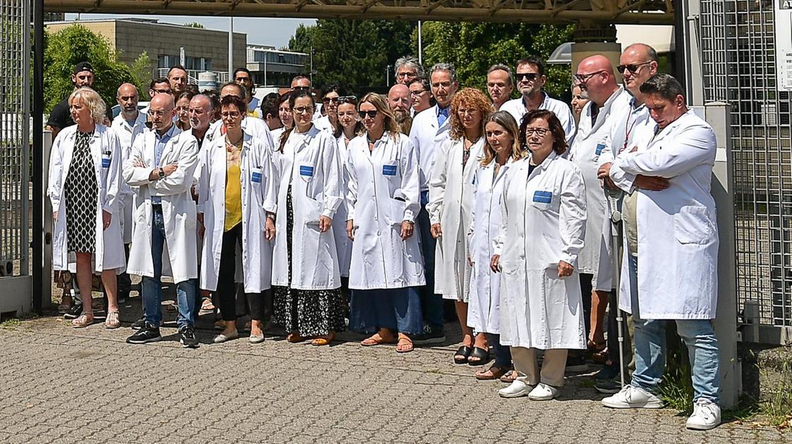 Nerviano, Nms apre una filiale a Shanghai. L’ira del sindacato: “È delocalizzazione, qui invece tagliano sulla ricerca” Nerviano, Nms apre una filiale a Shanghai. L’ira del sindacato: “È delocalizzazione, qui invece tagliano sulla ricerca”