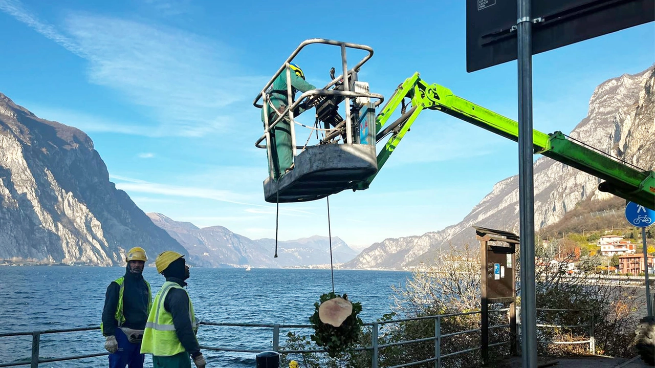 CARDINI LECCO = SOPRALLUOGO NELLA ZONA DELLE CAVIATE INTERESSATA DAI LAVORI DI AMPLIAMENTO DEL MOLO E DELLA NUOVA PIATTAFORMA - ARCHIVIO CARDINI LECCO = SOPRALLUOGO NELLA ZONA DELLE CAVIATE INTERESSATA DAI LAVORI DI AMPLIAMENTO DEL MOLO E DELLA NUOVA PIATTAFORMA - ARCHIVIO