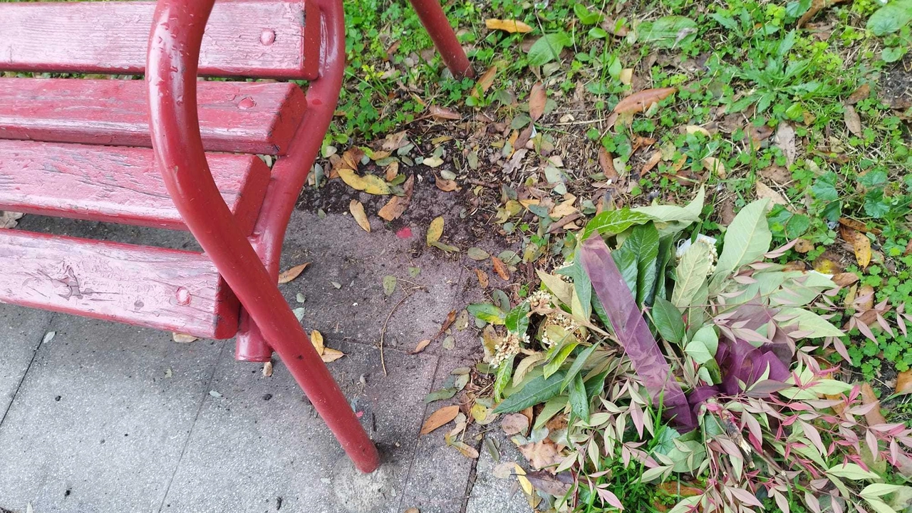 Atto vandalico a Bagnolo Mella: fiori deposti per la Giornata contro la violenza sulle donne distrutti sulla panchina rossa. Indignazione e appello per contrastare la violenza. Atto vandalico a Bagnolo Mella: fiori deposti per la Giornata contro la violenza sulle donne distrutti sulla panchina rossa. Indignazione e appello per contrastare la violenza.