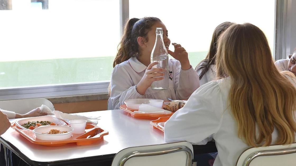 Salasso nel piatto della mensa. A Cesano rincaro di 2 euro a pasto: "È il prezzo migliore ottenuto" Salasso nel piatto della mensa. A Cesano rincaro di 2 euro a pasto: "È il prezzo migliore ottenuto"