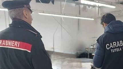 Indagano i carabinieri