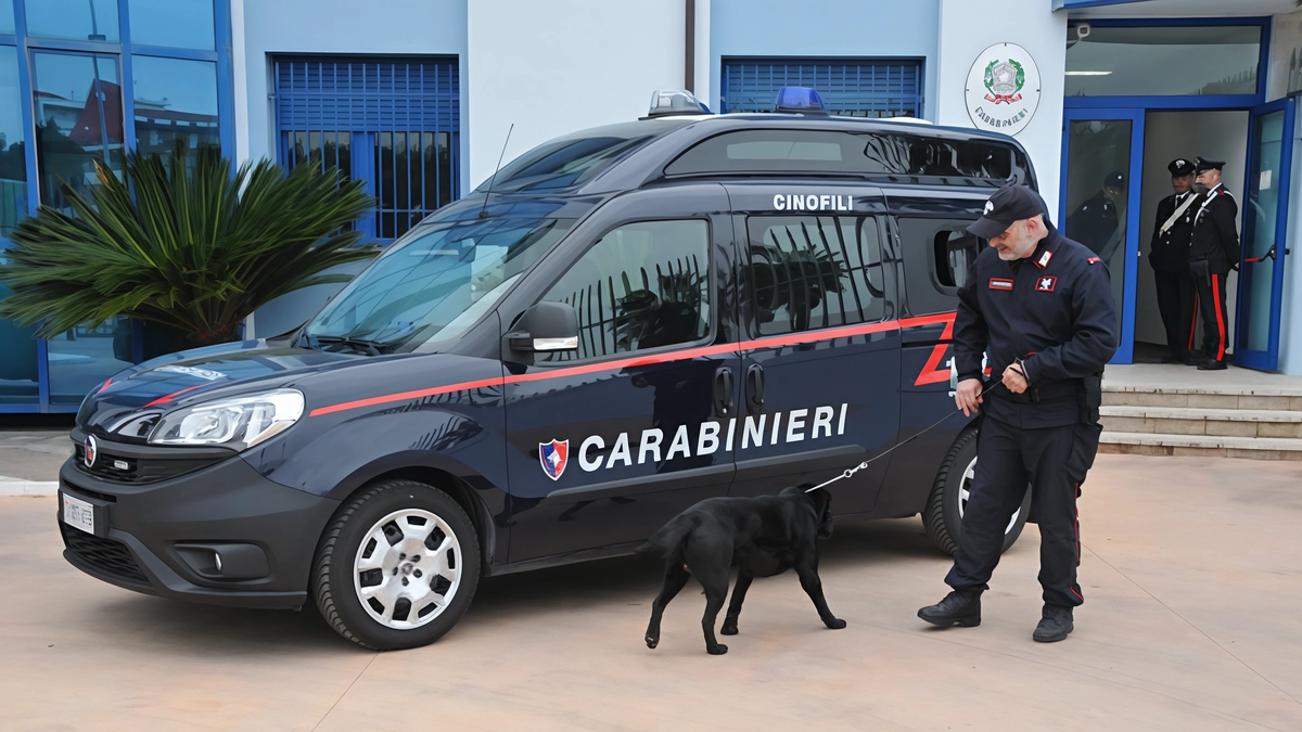 Carabinieri arrestano giovane per detenzione droga a Busto Arsizio. Sequestrati hashish, marijuana e contanti. In attesa del giudizio direttissimo agli arresti domiciliari. Carabinieri arrestano giovane per detenzione droga a Busto Arsizio. Sequestrati hashish, marijuana e contanti. In attesa del giudizio direttissimo agli arresti domiciliari.
