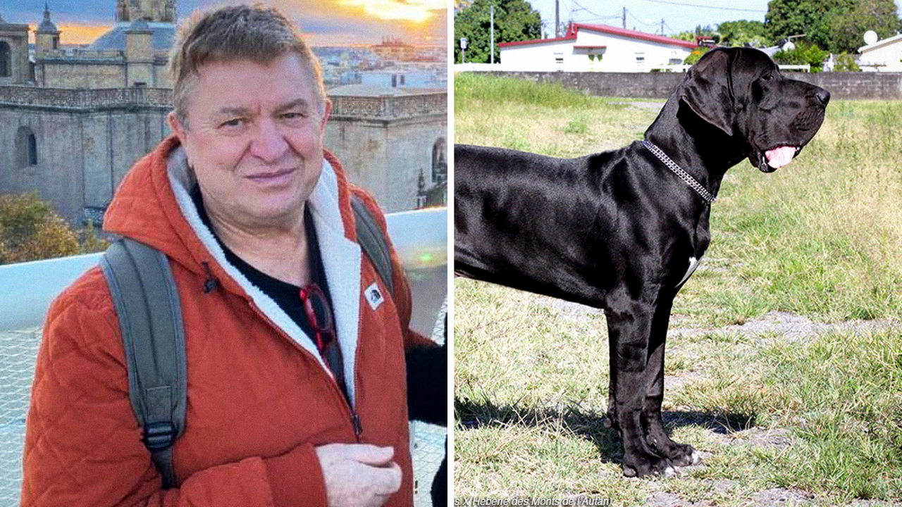 Patrizio Donati, veterinario, aveva 72 anni e gestiva insieme alla moglie un allevamento di alani Patrizio Donati, veterinario, aveva 72 anni e gestiva insieme alla moglie un allevamento di alani