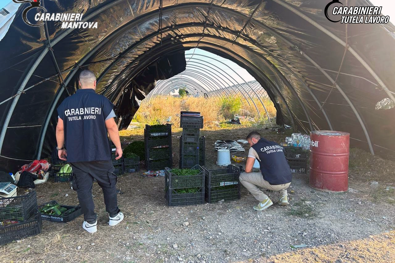 I lavoratori dell'azienda agricola erano costretti a lavorare nella più assoluta assenza di ogni regola relativa alla sicurezza