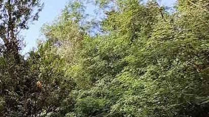 Luvinate, promossa da Asfo Valli delle Sorgenti con i fondi del bando Ruralis