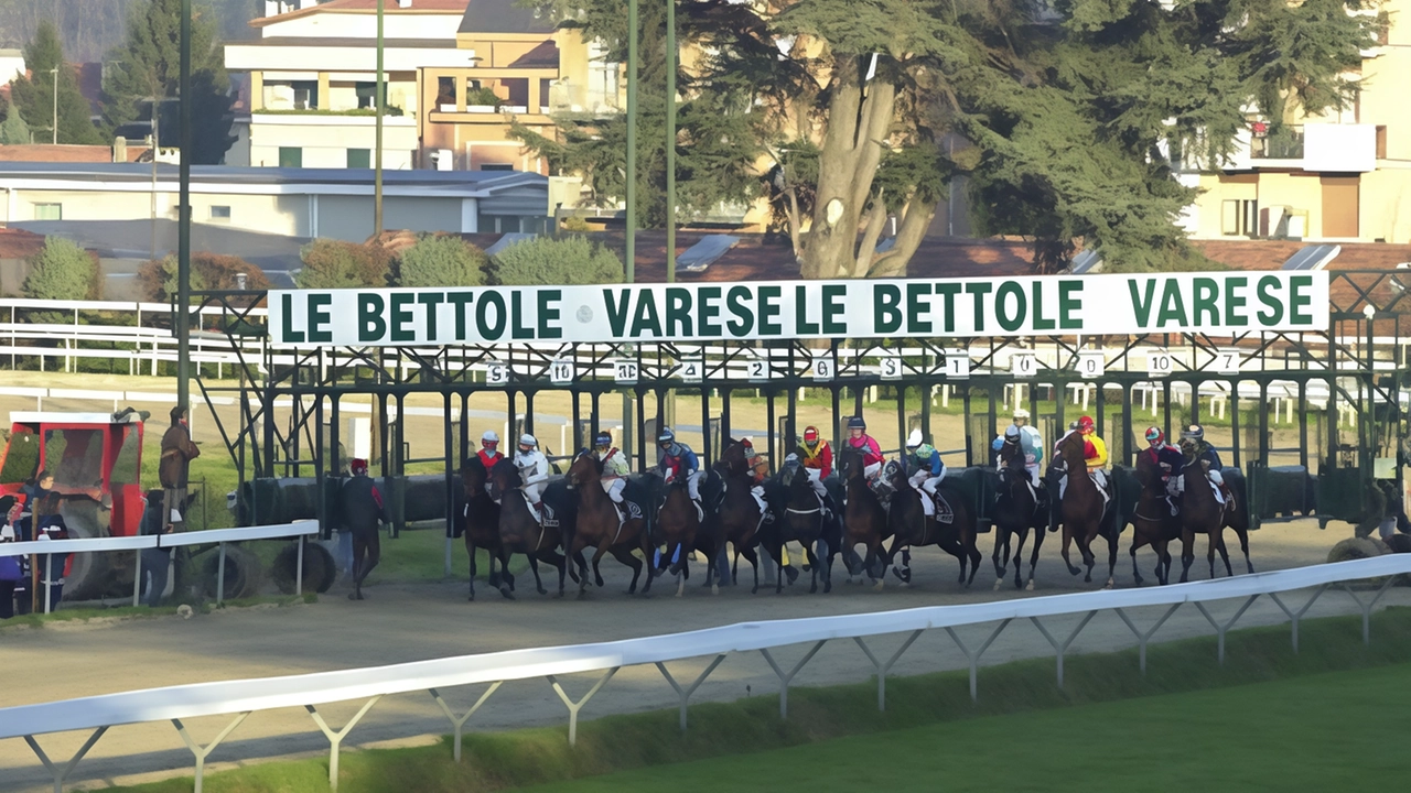Varese, proprietario e allenatore sono accusati anche di maltrattamento degli animali Varese, proprietario e allenatore sono accusati anche di maltrattamento degli animali